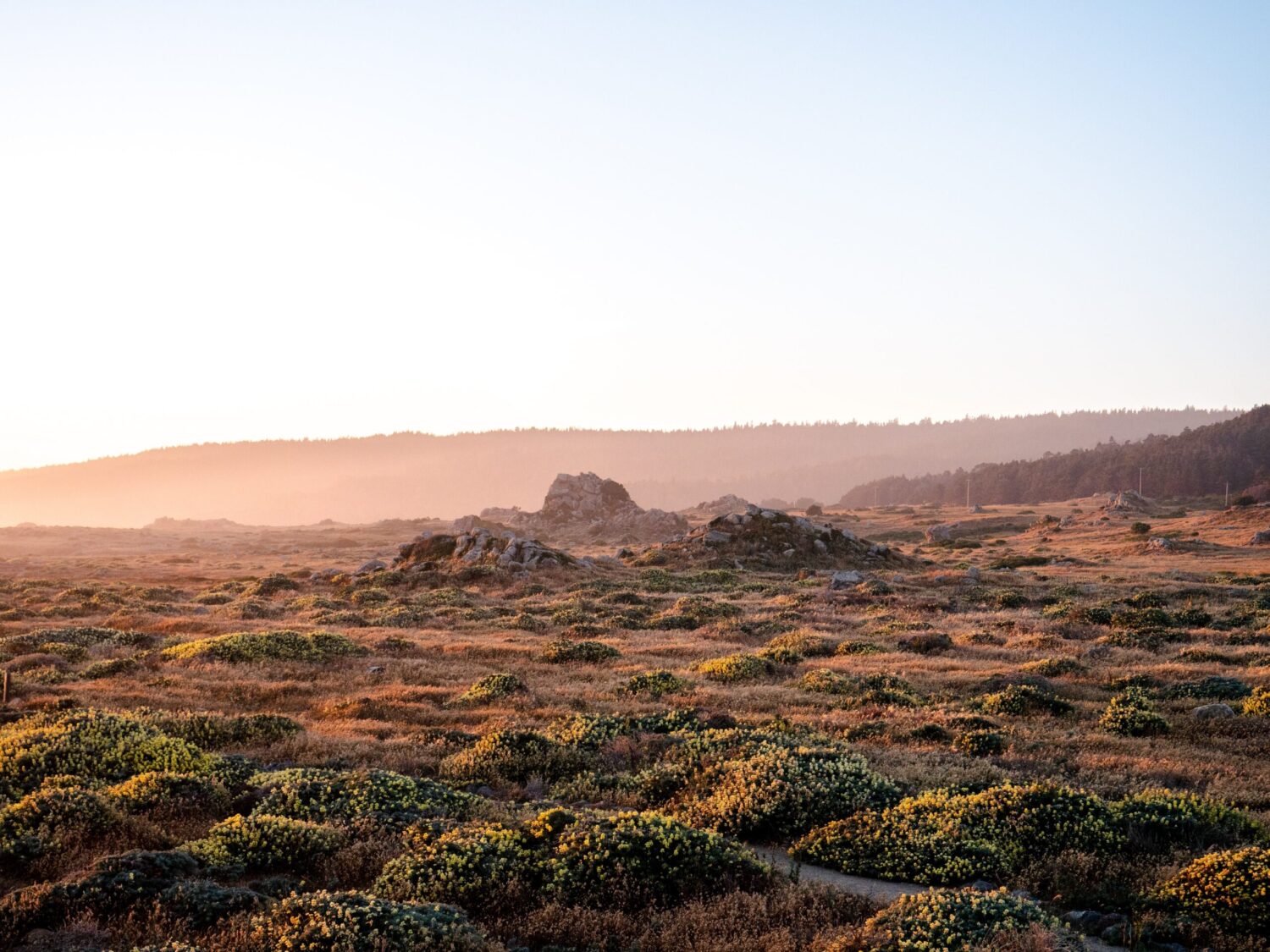 Wilderness 2